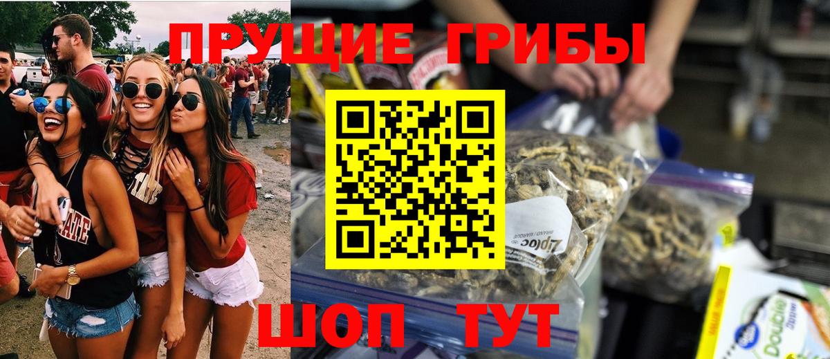 Узловая  где продают   Вход с VPN  Галлюциногенные грибы мицелий 